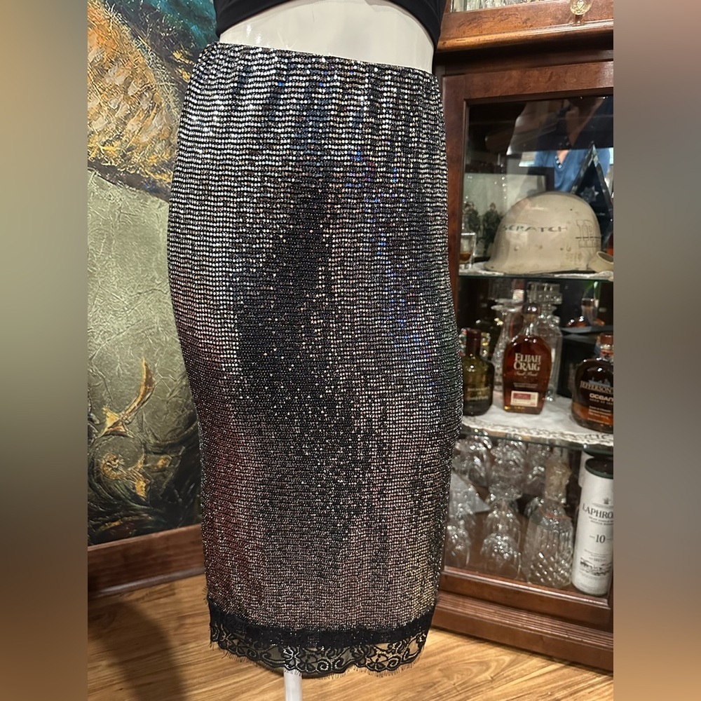 NWT ZARA STRECH PENCIL  SILVER METALLIC STULE SKIRT W BLACK LACE TREAM - Picture 5 of 9
